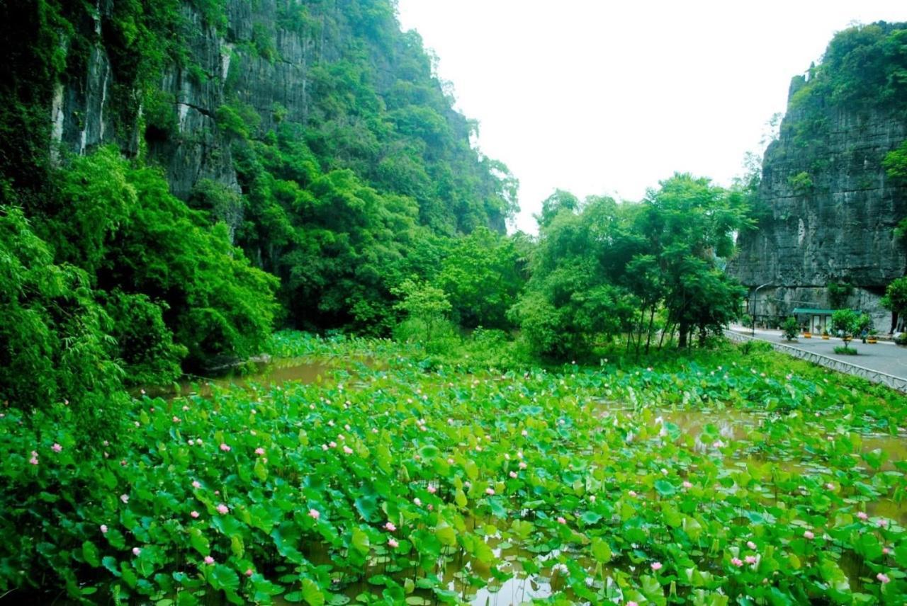 Tamcoc Viet Tan Homestay & Garden Ninh Binh Exterior foto
